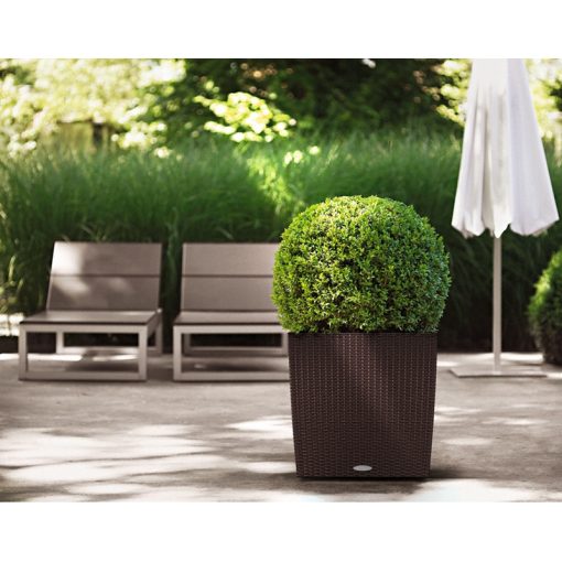 Lechuza CUBE Cottage 30 önöntöző készlettel:  Mokka