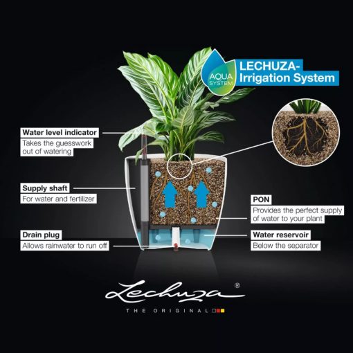 Lechuza Classico Color 50 Matt Önöntöző készlettel: Szerecsendió