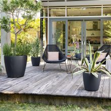 Lechuza Classico Color 50 Matt Önöntöző készlettel: Szerecsendió