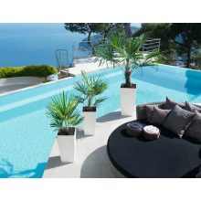 Lechuza Cubico Color kiemelhető belsővel és önöntözővel-All-in-One Set: 22x22x41 cm Fehér