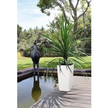 Lechuza Cubico Color kiemelhető belsővel és önöntözővel-All-in-One Set: 22x22x41 cm Fehér