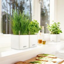 Lechuza Cube Color 16 All-in-One Set Palaszürke