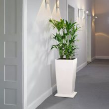 Lechuza görgős keret Cubico 40 Fehér