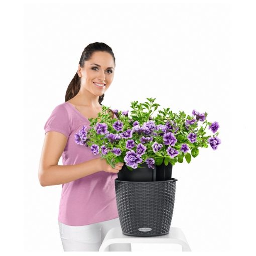 NIDO Cottage kiemelhető belsővel és önöntöző készlettel: Light Gray