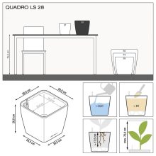 Lechuza Quadro Premium LS 28: Skarlát 