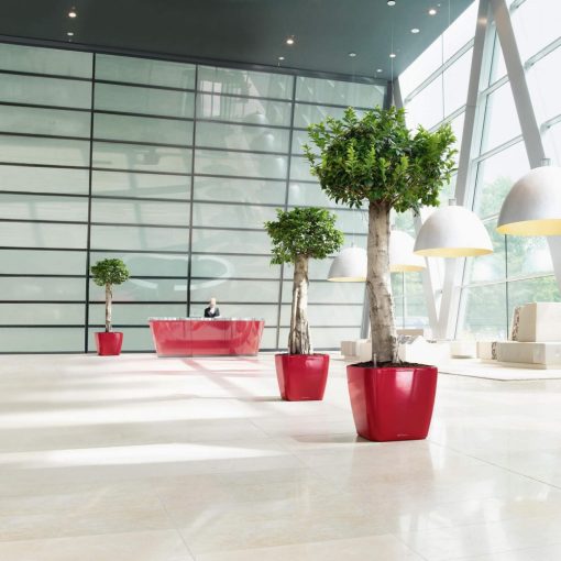 Lechuza Quadro Premium LS 28: Skarlát 