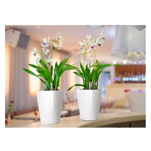 Lechuza Deltini önöntözővel: Fehér