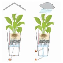 Lechuza CUBICO Cottage 30 kiemelhető belsővel és önöntöző készlettel: Graphite