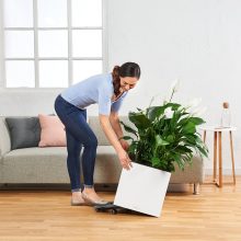 Lechuza CANTO kocka premium 40 All-in-One Set: Fehér