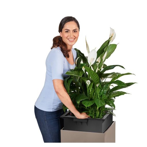 Lechuza CANTO oszlop premium 40 All-in-One Set: Fehér