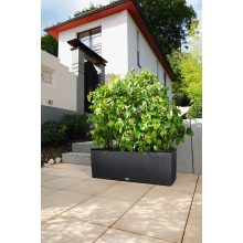 Lechuza TRIO Cottage 30 kiemelhető belsővel és önöntöző készlettel:  Gránit