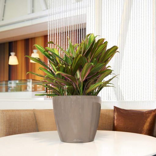 Lechuza Classico Premium LS 28: Taupe