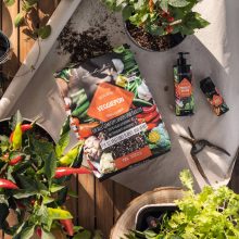 Lechuza PERFECT VEGGIE 150 g