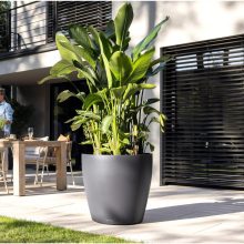 Lechuza Classico Color 50 Matt Önöntöző készlettel Palaszürke 