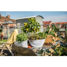 Lechuza CUBETO stone 40  All-in-One Set Quarz Fehér