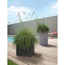 Lechuza CANTO Stone All-in-One Set: 30x30x30 cm Homok