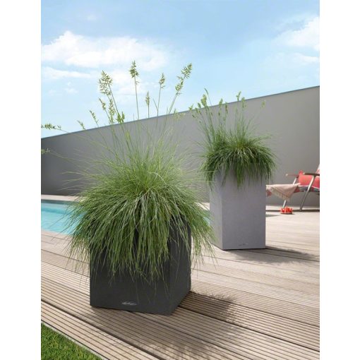 Lechuza CANTO Stone All-in-One Set: 30x30x30 cm Homok