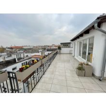 Lechuza CANTO Stone All-in-One Set: 30x30x30 cm Homok