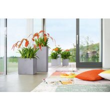 Lechuza CANT Stone All-in-One Set: 40x40x40 cm Grafit