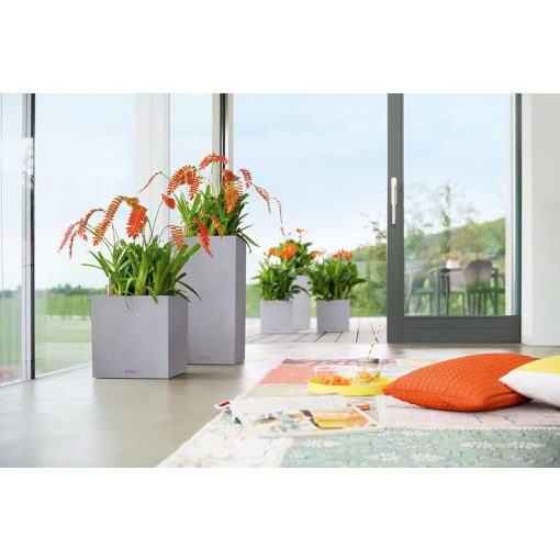 Lechuza CANT Stone All-in-One Set: 40x40x40 cm Grafit