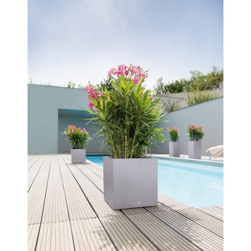 Lechuza CANT Stone All-in-One Set: 40x40x40 cm Grafit