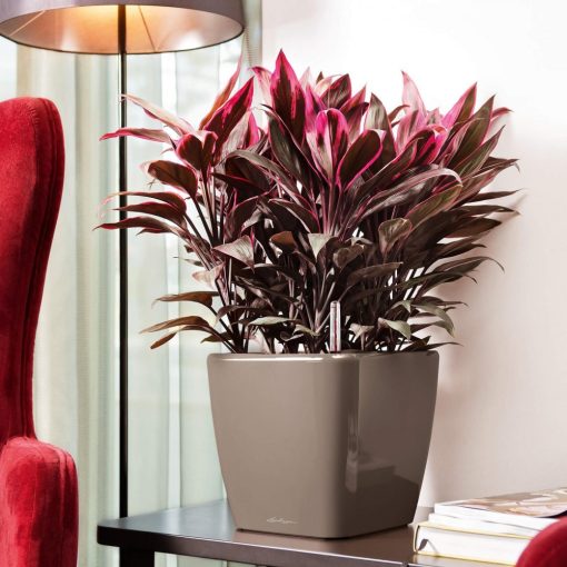 Lechuza Quadro Premium LS 21: Taupe