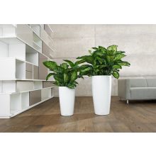 Lechuza Rondo 32-All-in-One Set: Fehér