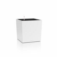 Lechuza Cube Color 30-40 