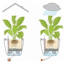 Lechuza Classico Premium LS 35: Fehér