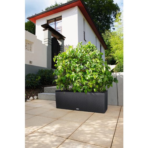 Lechuza TRIO Cottage 40 kiemelhető belsővel és önöntöző készlettel:  Gránit