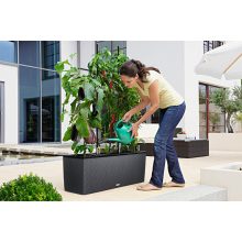 Lechuza TRIO Cottage 40 kiemelhető belsővel és önöntöző készlettel:  Gránit