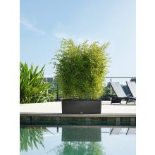 Lechuza TRIO Cottage 40 kiemelhető belsővel és önöntöző készlettel:  Gránit