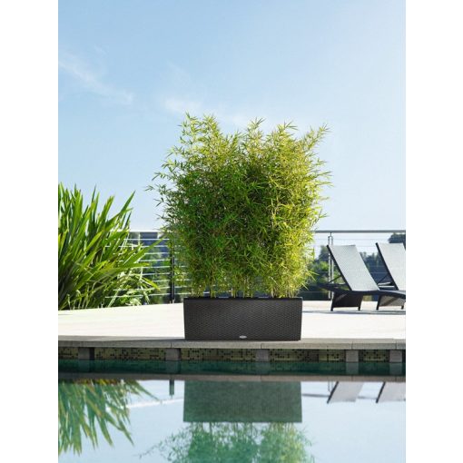 Lechuza TRIO Cottage 40 kiemelhető belsővel és önöntöző készlettel:  Gránit