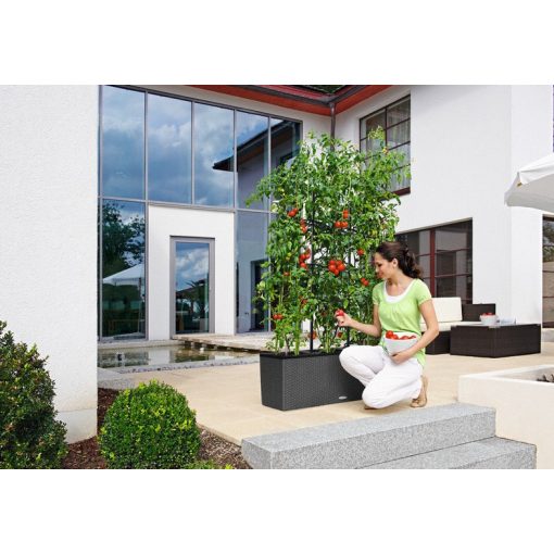 Lechuza TRIO Cottage 40 kiemelhető belsővel és önöntöző készlettel:  Gránit