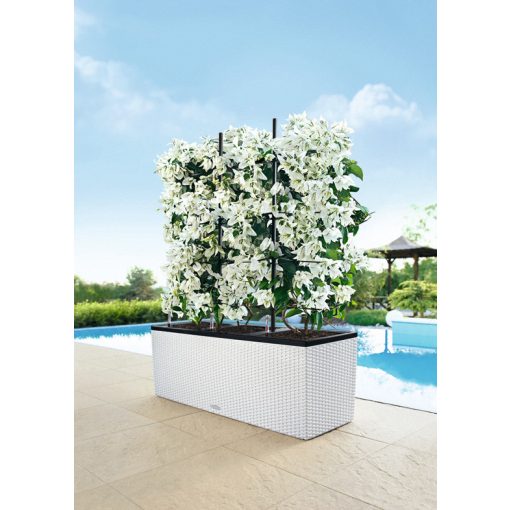 Lechuza TRIO Cottage 40 kiemelhető belsővel és önöntöző készlettel: Fehér