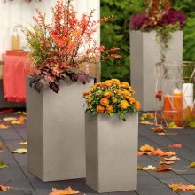 Lechuza CANTO Stone Tower All-in-One Set: 30x30x56 cm Quarz Fehér 