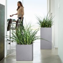 Lechuza CANTO Stone Tower All-in-One Set: 30x30x56 cm Quarz Fehér 