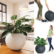 Lechuza Puro Color 50 Fehér