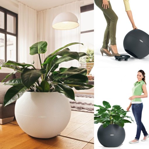 Lechuza Puro Color 50 Fehér