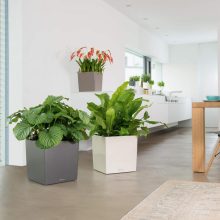 Lechuza Cube 40 Premium: Taupe