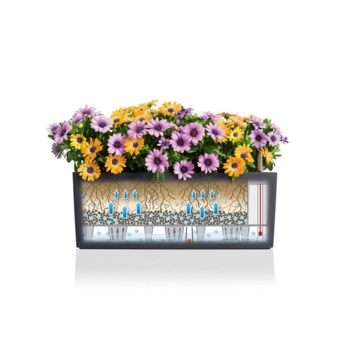 Lechuza Balconera Color 50 kiemelhető belsővel és önöntöző készlettel Palaszürke