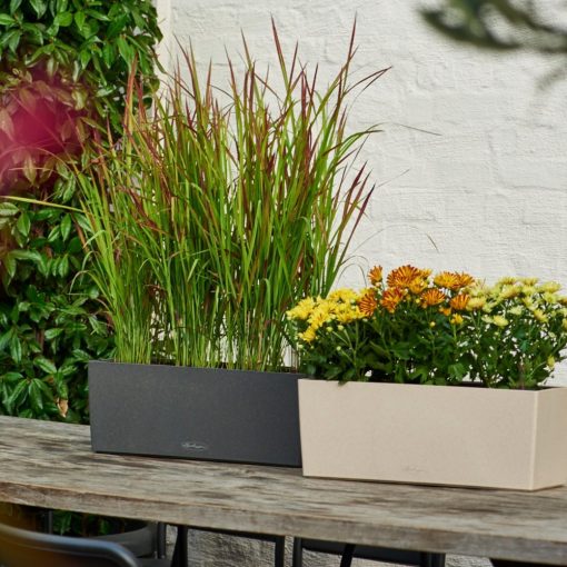 Lechuza Balconera Stone 50 cm Grafit