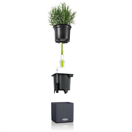 Lechuza Green Wall Home Kit Color Fehér