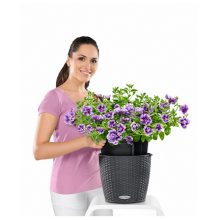 NIDO Cottage kiemelhető belsővel és önöntöző készlettel: Gránit