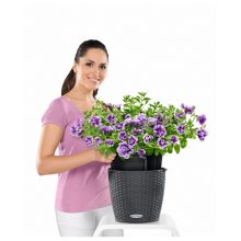 NIDO Cottage kiemelhető belsővel és önöntöző készlettel: Gránit