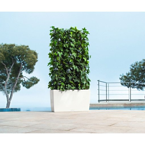 Lechuza Cararo Sett: Fehér