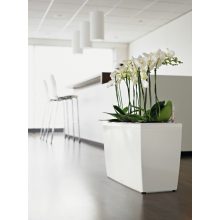 Lechuza Cararo Sett: Fehér