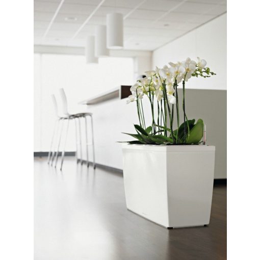 Lechuza Cararo Sett: Fehér