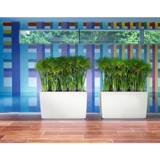 Lechuza Cararo Sett: Fehér